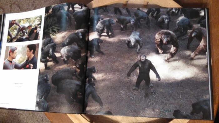 dawn of the planet of the apes book image 3