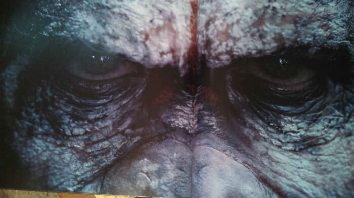 dawn of the planet of the apes book image 10