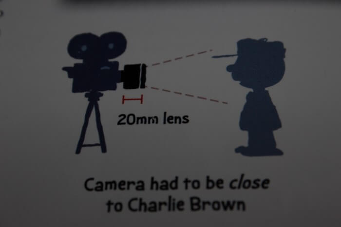 peanuts movie book 8