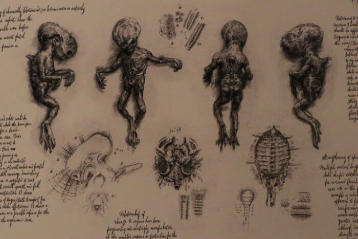 alien covenant titan books 9