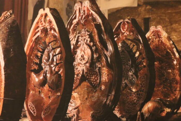 alien covenant titan books 12