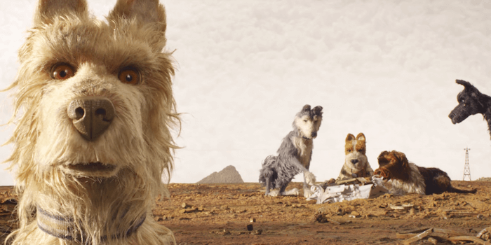 isle of dogs movie trailer wes anderson